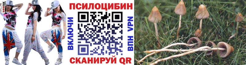 Галлюциногенные грибы мухоморы  Купить  Минусинск 